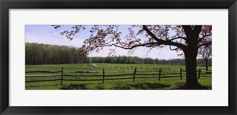 Framed Wooden fence in a farm, Knox Farm State Park, East Aurora, New York State, USA Print