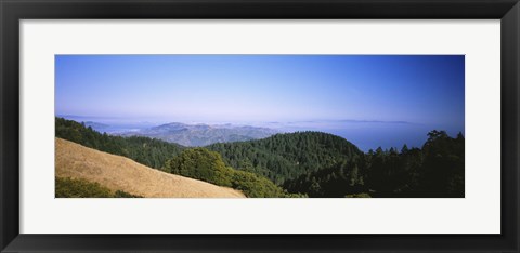 Framed High angle view of a forest, Mt Tamalpais, California, USA Print