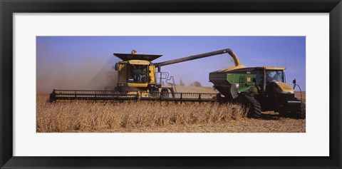 Framed Combine harvesting soybeans in a field, Minnesota Print