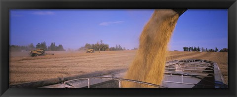 Framed Soybeans harvesting, Minnesota Print