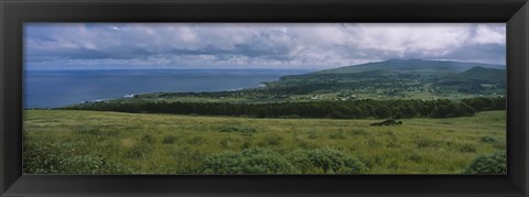 Framed High angle view of trees on a landscape, Easter Island, Chile Print