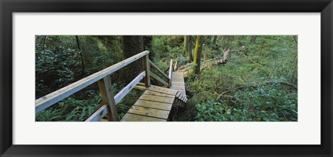 Framed Wooden Path in Pacific Rim National Park Print