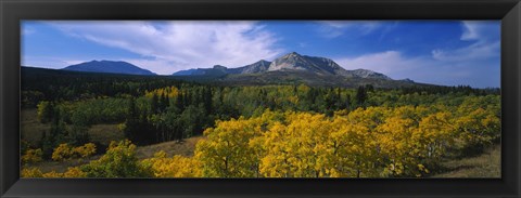 Framed Valley of Trees in Wateron Lakes Print