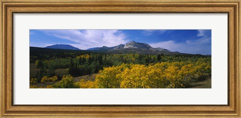 Framed Valley of Trees in Wateron Lakes Print