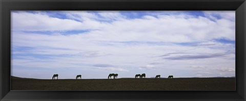 Framed Horses in Field Print