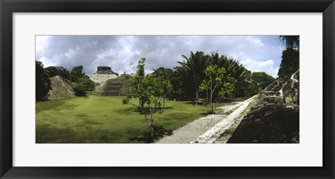 Framed Old ruins of a temple in a forest, Xunantunich, Belize Print