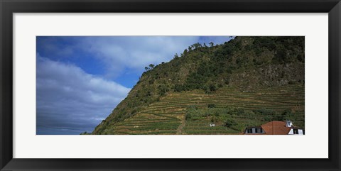 Framed Low angle view of terraced fields on a mountain, Ponta Delgada, Madeira, Portugal Print