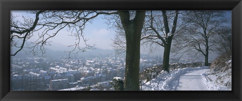 Framed Trees along a snow covered road, Freiburg Im Breisgau, Breisgau, Baden-Wurttemberg, Germany Print