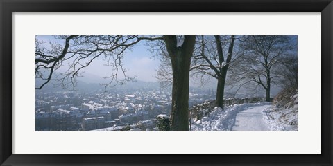 Framed Trees along a snow covered road, Freiburg Im Breisgau, Breisgau, Baden-Wurttemberg, Germany Print