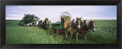 Framed Historical reenactment, Covered wagons in a field, North Dakota, USA Print