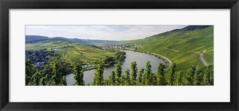 Framed Vineyards along a river, Moselle River, Mosel-Saar-Ruwer, Germany Print