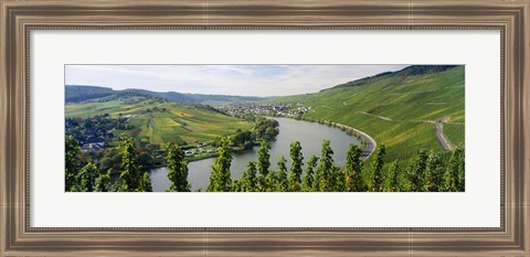 Framed Vineyards along a river, Moselle River, Mosel-Saar-Ruwer, Germany Print