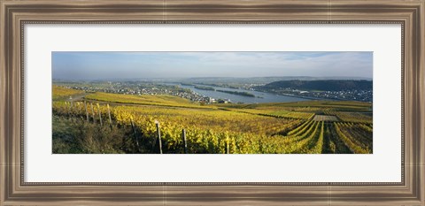 Framed Vineyards near a town, Rudesheim, Rheingau, Germany Print