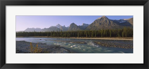 Framed Trees along a river with a mountain range in the background, Athabasca River, Jasper National Park, Alberta, Canada Print