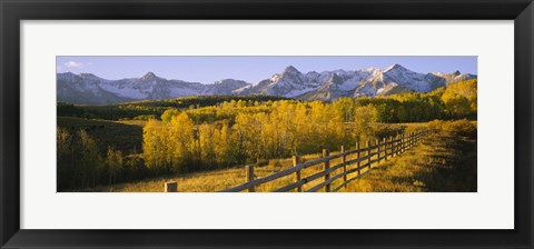 Framed Trees in a field near a wooden fence, Dallas Divide, San Juan Mountains, Colorado Print