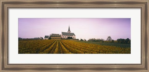 Framed Vineyard with a church in the background, Hochheim, Rheingau, Germany Print