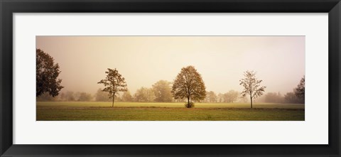 Framed Fog covered trees in a field, Baden-Wurttemberg, Germany Print