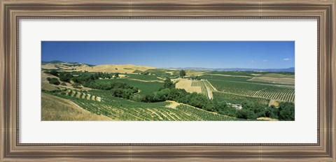 Framed Carneros District, Napa Valley, Napa County, California Print