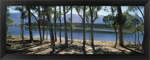 Framed dam on a farm in Hermon, South Africa Print