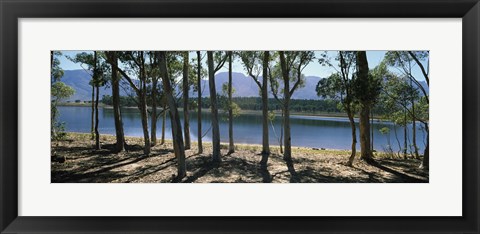 Framed dam on a farm in Hermon, South Africa Print