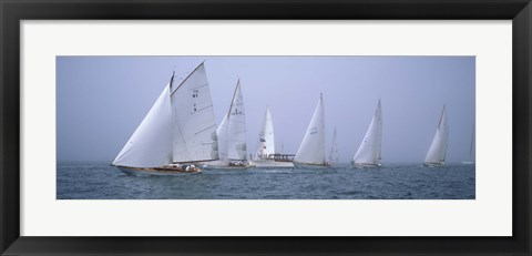 Framed Yachts racing in the ocean, Annual Museum Of Yachting Classic Yacht Regatta, Newport, Newport County, Rhode Island, USA Print