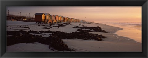 Framed Changing room huts on the beach, Muizenberg Beach, False Bay, Cape Town, Western Cape Province, Republic of South Africa Print