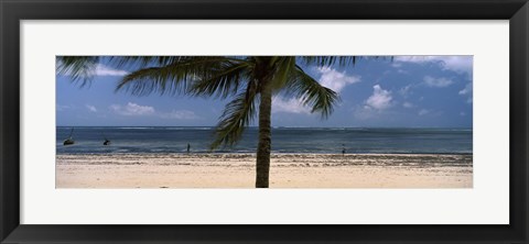 Framed Palm tree on the beach, Malindi, Coast Province, Kenya Print