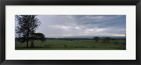 Framed Lake Nakuru National Park, Great Rift Valley, Kenya Print