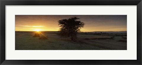 Framed Sunset over a landscape, Masai Mara National Reserve, Great Rift Valley, Kenya Print