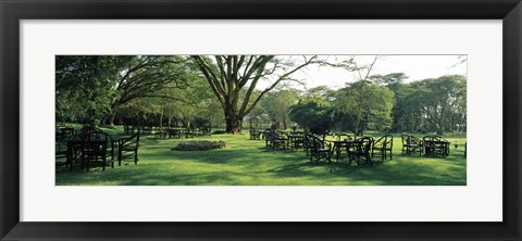 Framed Chairs and tables in a lawn, Lake Naivasha Country Club, Great Rift Valley, Kenya Print