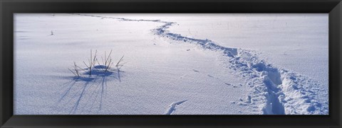 Framed Track on a snow covered landscape, Apennines, Emilia-Romagna, Italy Print