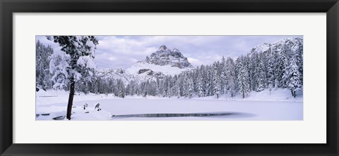 Framed Trees along a frozen lake, Lake Antorno, Tre Cime Di Lavaredo, Dolomites, Cadore, Province of Belluno, Veneto, Italy Print