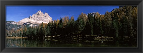 Framed Trees at the lakeside, Lake Misurina, Tre Cime Di Lavaredo, Dolomites, Cadore, Province of Belluno, Veneto, Italy Print