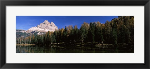 Framed Trees at the lakeside, Lake Misurina, Tre Cime Di Lavaredo, Dolomites, Cadore, Province of Belluno, Veneto, Italy Print