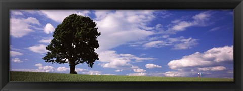 Framed Tree in a field with woman walking along with balloons, Baden-Wurttemberg, Germany Print