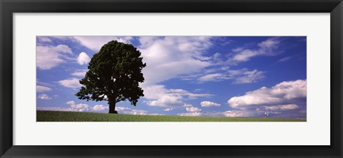 Framed Tree in a field with woman walking along with balloons, Baden-Wurttemberg, Germany Print