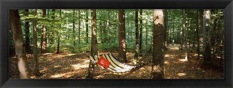 Framed Hammock in a forest, Baden-Wurttemberg, Germany Print