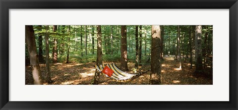 Framed Hammock in a forest, Baden-Wurttemberg, Germany Print