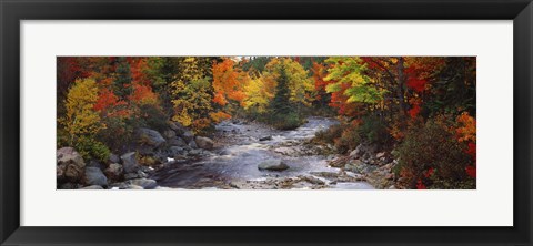 Framed Stream with trees in a forest in autumn, Nova Scotia, Canada Print