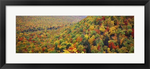 Framed Mountain forest in autumn, Nova Scotia, Canada Print