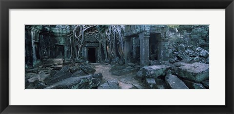 Framed Overgrown tree roots on ruins of a temple, Ta Prohm Temple, Angkor, Cambodia Print