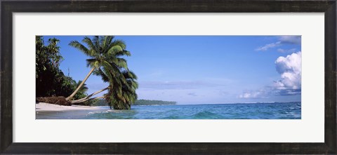 Framed Palm trees on the beach, Indonesia Print