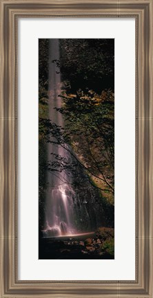 Framed Waterfall in a forest, Columbia Gorge, Oregon, USA Print