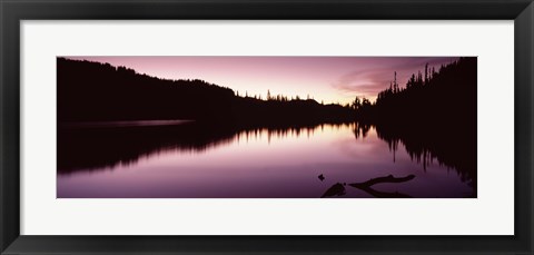 Framed Reflection of trees in a lake, Mt Rainier, Pierce County, Washington State Print