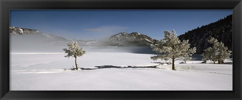 Framed Trees on a snow covered landscape, French Riviera, France Print