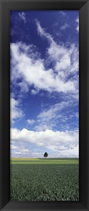 Framed Germany, Baden-Wurttemberg,Single tree in field, clouds Print