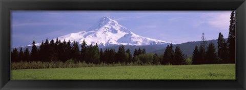 Framed Field with a snowcapped mountain in the background, Mt Hood, Oregon (horizontal) Print