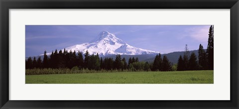 Framed Field with a snowcapped mountain in the background, Mt Hood, Oregon (horizontal) Print