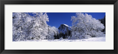 Framed Half Dome, Yosemite National Park, Mariposa County, California Print