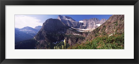 Framed Wildflowers with mountain range in the background, US Glacier National Park, Montana, USA Print